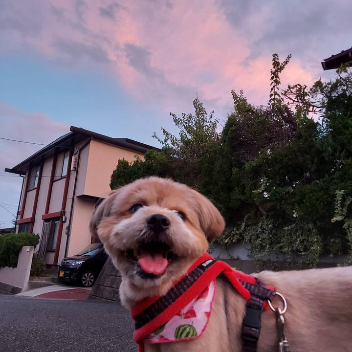 5b8ca418 3d4c 4ec3 8a9d 6da3a3b1a3a1 1661425738880