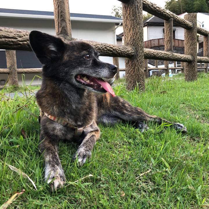 5b8cdab5 3cbf 4720 988e a179ed0d2686 1599471140764