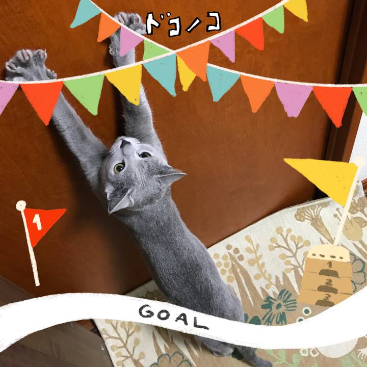 5b8ce329 df23 4c6e a160 4c5283c17062 1729167620999