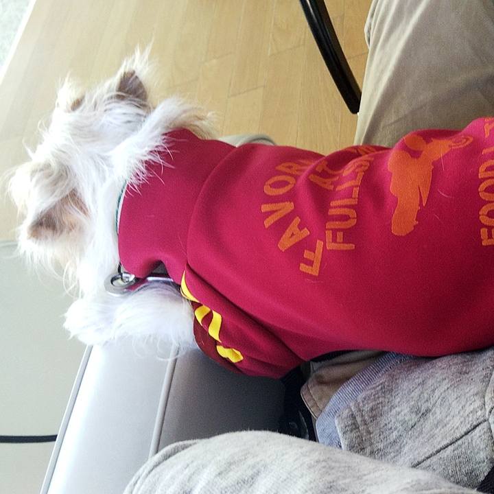 5b8cfe24 d068 45ae 9b24 8fce8afada03 1573954199123