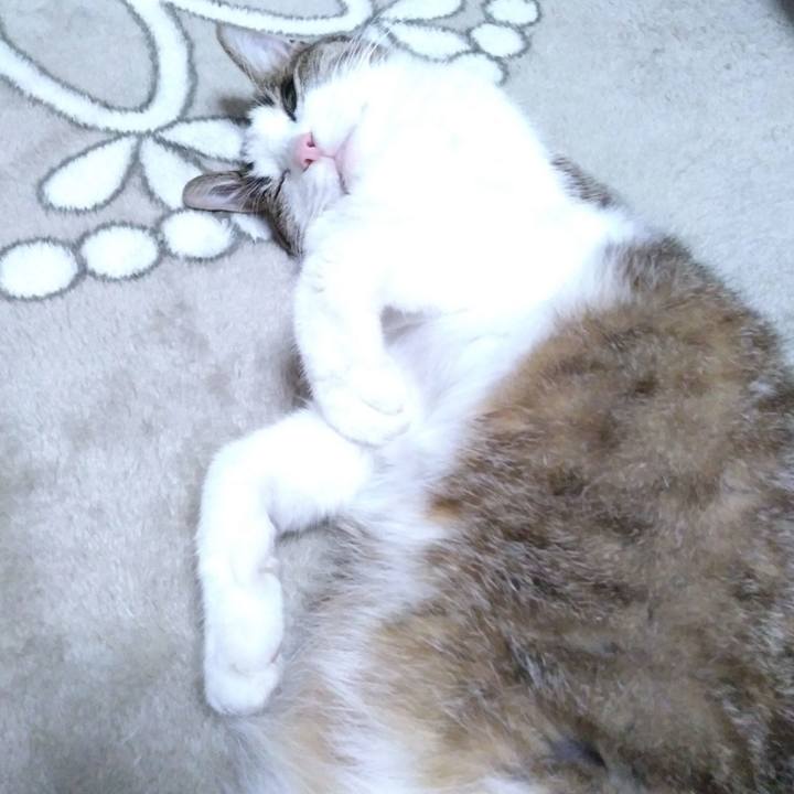 5b8d1a83 dae3 442c a257 de707982b17a 1522839291528