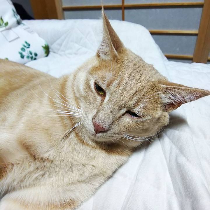 5b8d717d 4141 4fb6 b420 9b991f68b5d4 1558702032281