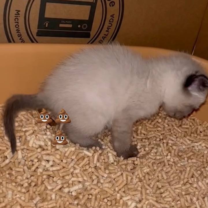 5b8d8c9e fbcb 46bf 8250 bdd4df17c1f2 1685086757971