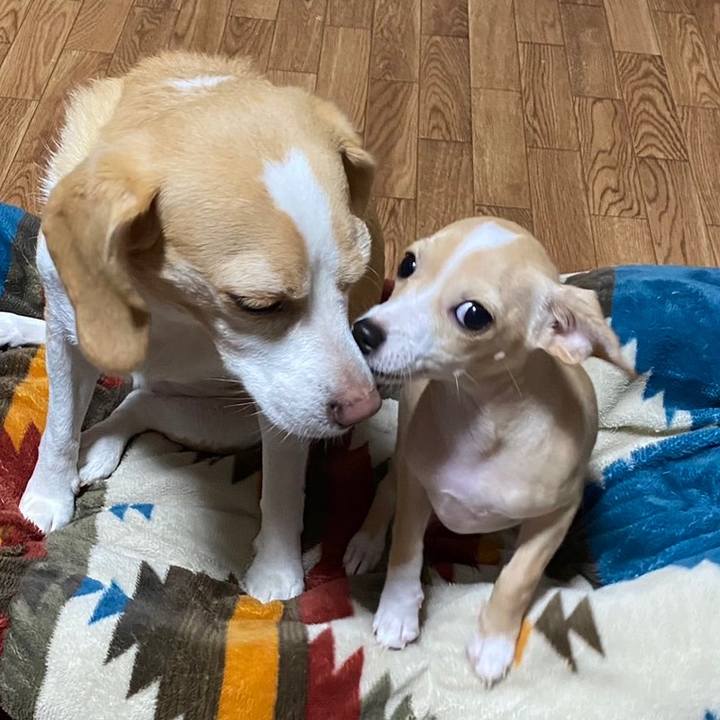 5b8d8e80 5442 4008 948b 149091f34095 1665368589625