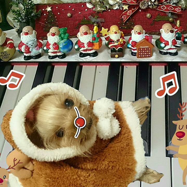 5b8d9d95 dce6 4b1a 8a69 31e7a820c791 1513352527011