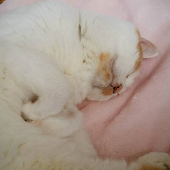 5b8dbc61 fcf2 4288 92c3 c8669391cfbf 1509233927395