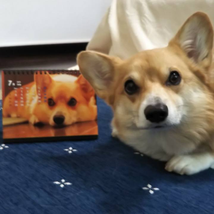 5b8dc8f6 0925 430e 99ff 1362613171b2 1546052957296