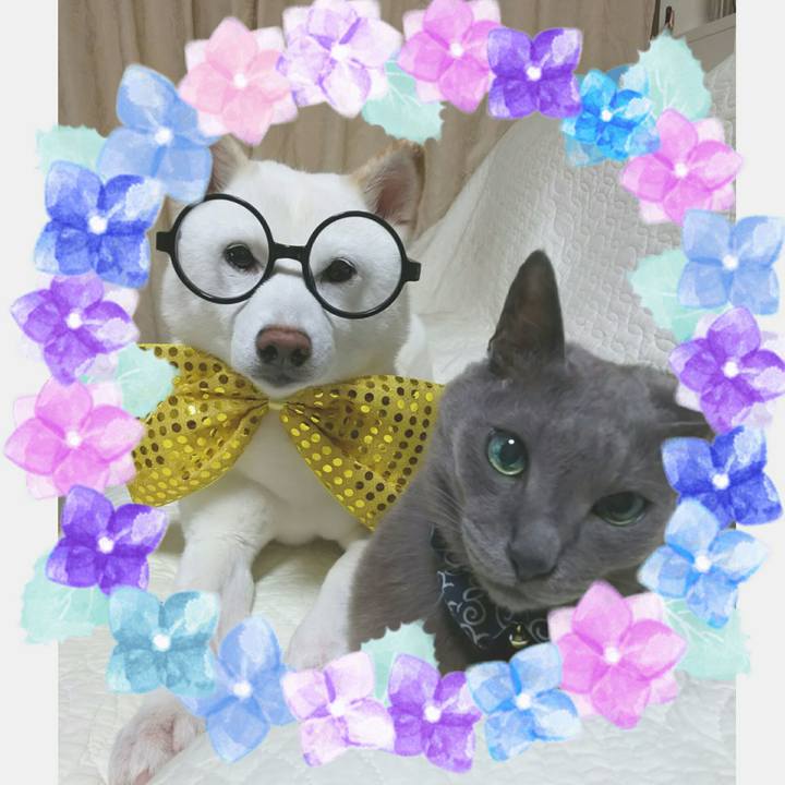 5b8dec24 12fd 41a4 828c c9e2bb52150a 1592687942926