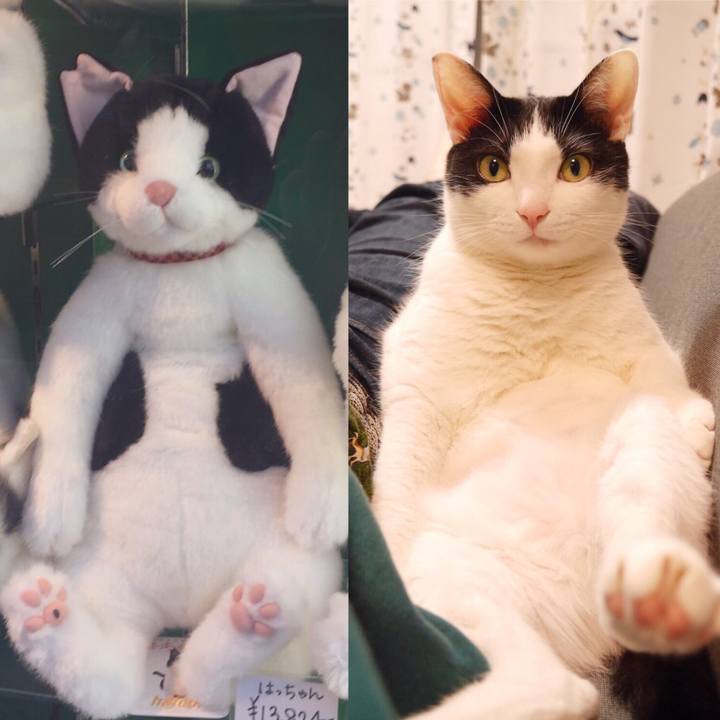 5b8df098 3568 4ab7 b2a5 964096e0d279 1591865604469