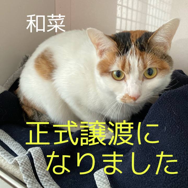 5b8e00aa 72ca 41df 88e0 9de7f44dc17c 1615971199625