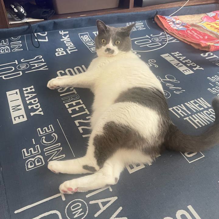 5b8e088c 34f4 435c a0be a774b83b91f5 1696894397860