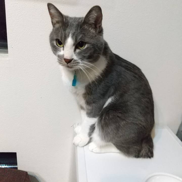 5b8e1f47 6716 4953 9adf b9fbc36031e2 1642628111070