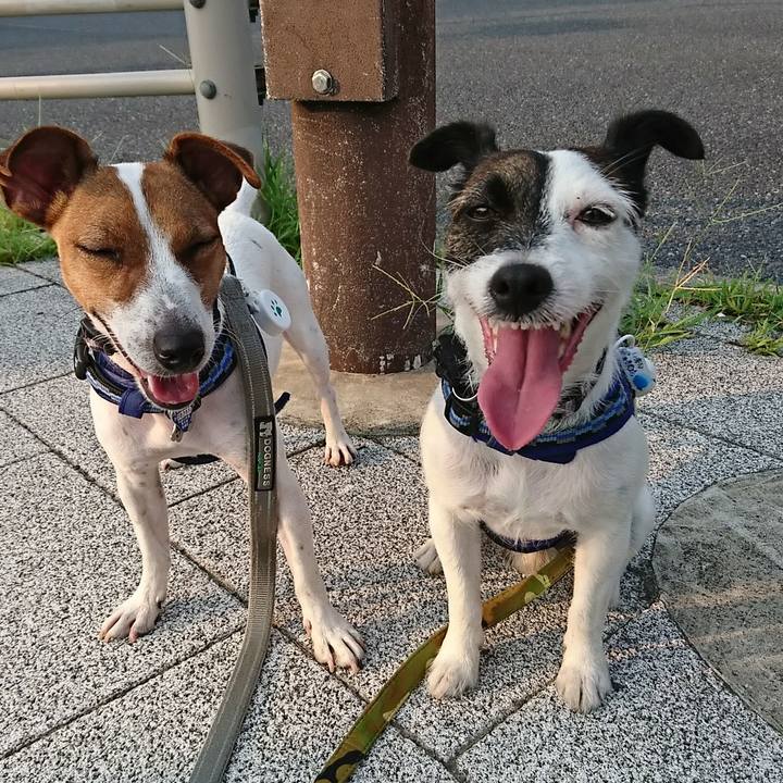 5b8e8e16 ec16 46c2 9d3d f3e9e5bb895a 1533245747887