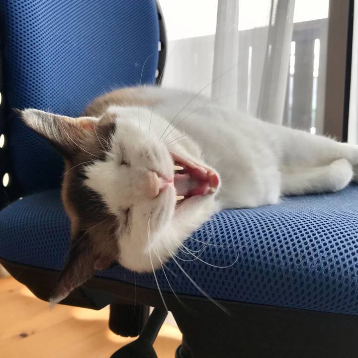 5b8e939a 66f5 47d2 9f9d 2d91c9923906 1630915485753