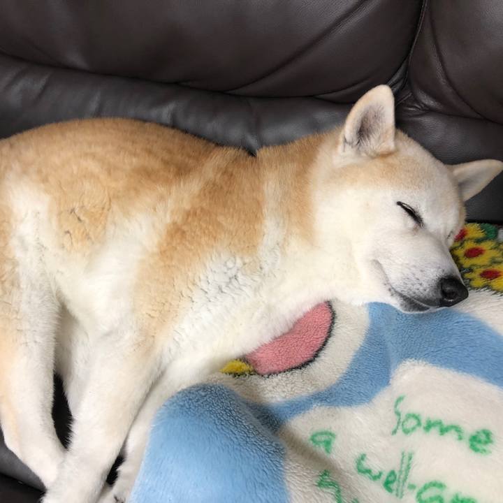 5b8e9623 1411 420b 88d5 c0800cd64ae0 1553224574327