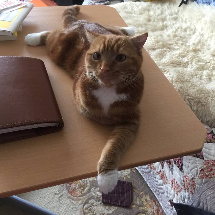 5b8e9ce7 9a7f 47fa 8b76 83d4cdacca5a 1533679839672