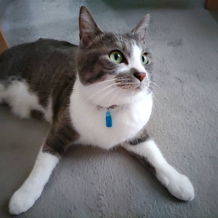 5b8ed112 cbdf 40d7 b1f8 c377bac2d126 1714958524719