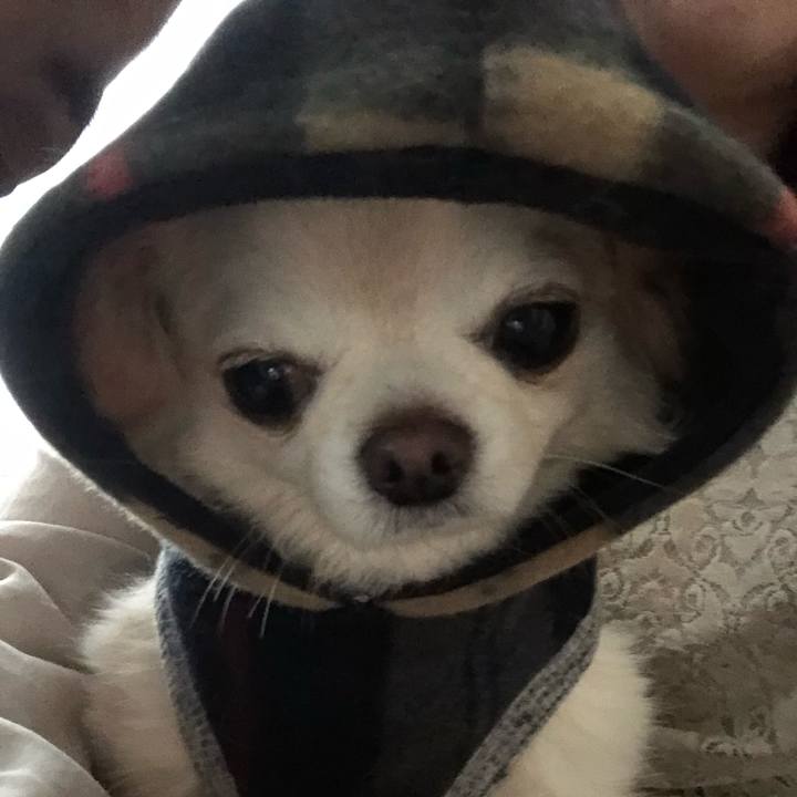 5b8ef818 80ad 4419 9985 73504354d5af 1645525016513