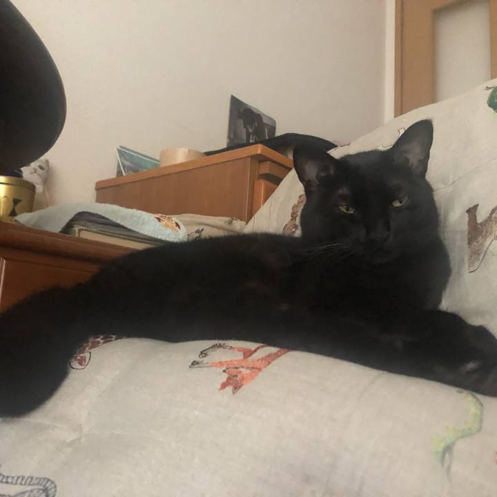 5b8f0289 6a42 40fd a48c 965c941a065e 1600566375993