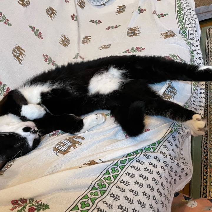 5b8f291a eb90 48c9 a01f d9122d781e2c 1701680834593