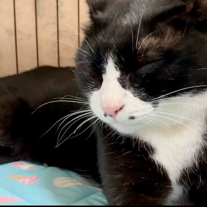 5b8f40e3 206f 48d2 9418 6212164c4e7b 1752572184086