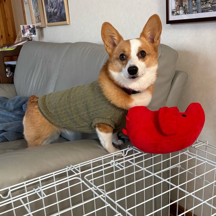 5b8f4654 0a90 4c09 bde7 91fa72d42f62 1764118534902