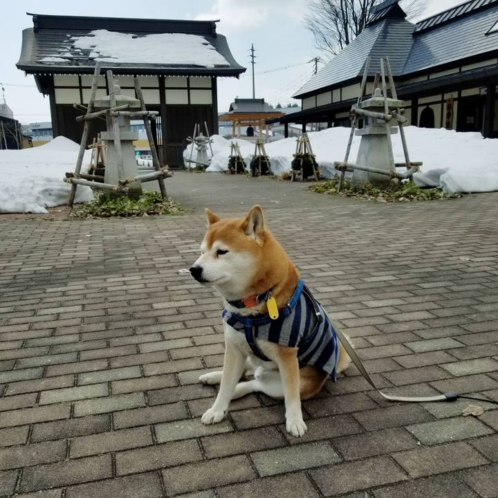 5b8f64d2 17c3 46d4 94c2 9f9ab6196754 1551151480403