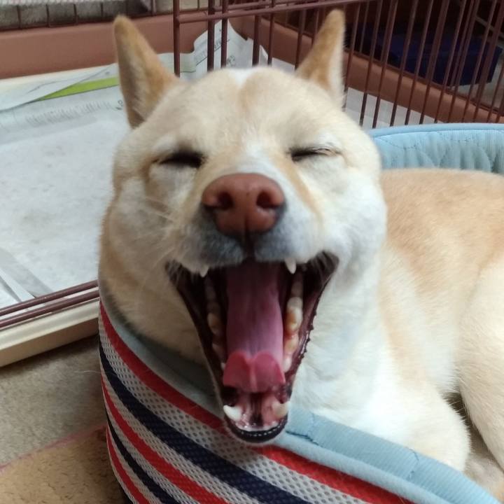 5b8f815b 89ec 4b4c 94b6 2c90e836f1e5 1558185463935