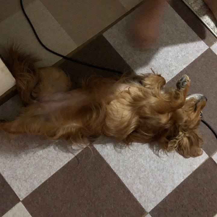 5b8f8ebd d9c3 4976 bb4b 3ab0b45f8fb1 1588681842892