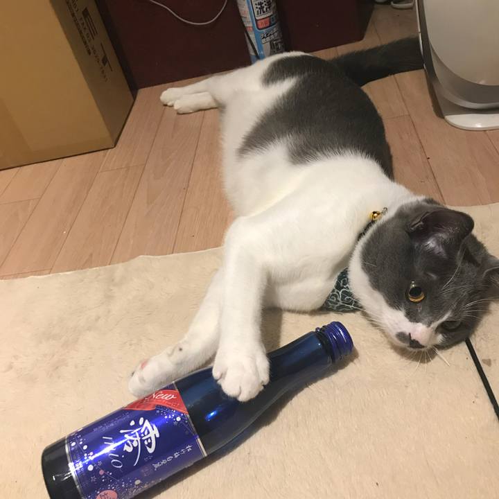 5b8fe79c 0a85 47ec a773 869fc8a44138 1625227289916