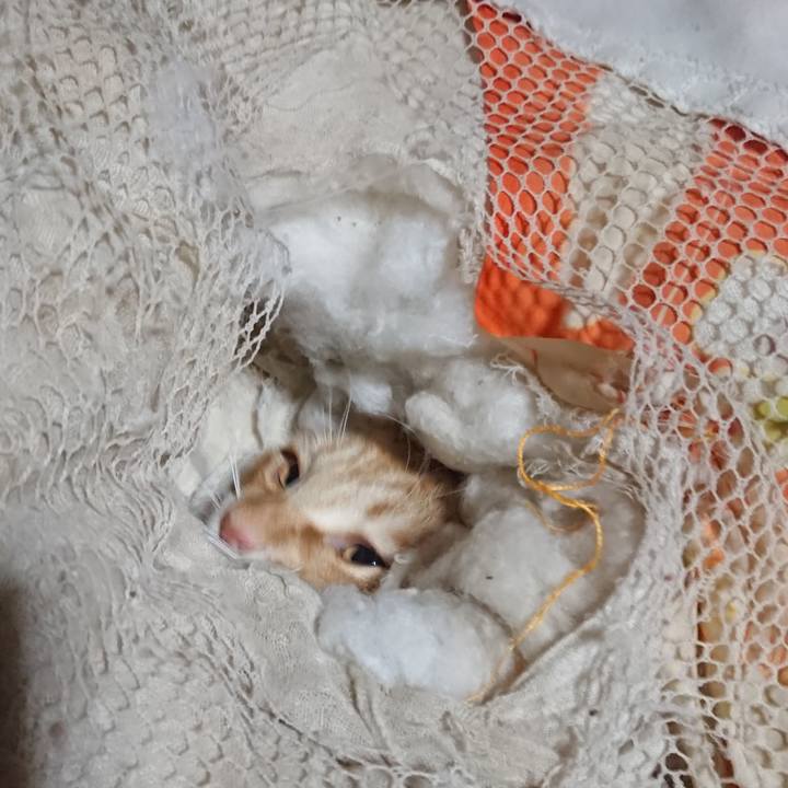 5b8ffb78 a0ed 4d9b abf8 db06dbe4f366 1645823909622