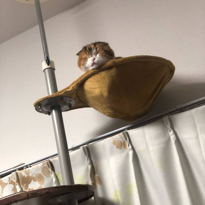 5b901d79 6d83 4a9c 9635 57ca9f18c24e 1575792192624