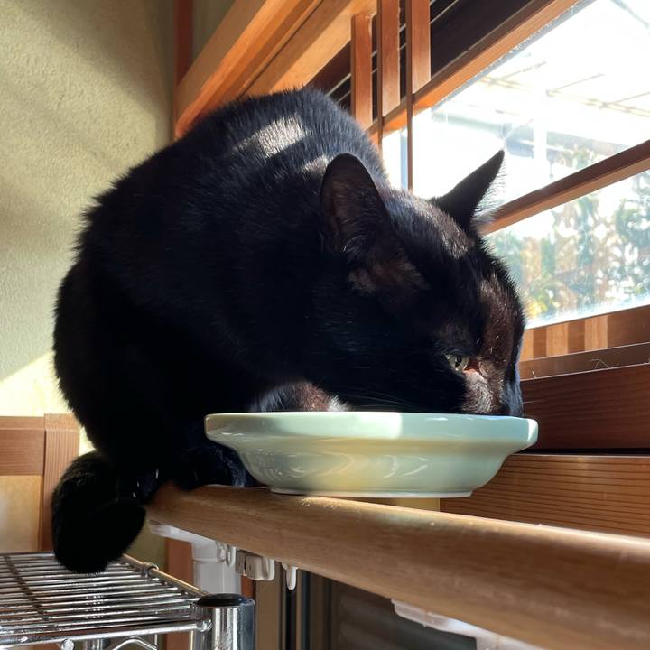 5b902022 2434 407c 9668 c986d9b2ab97 1612835327463