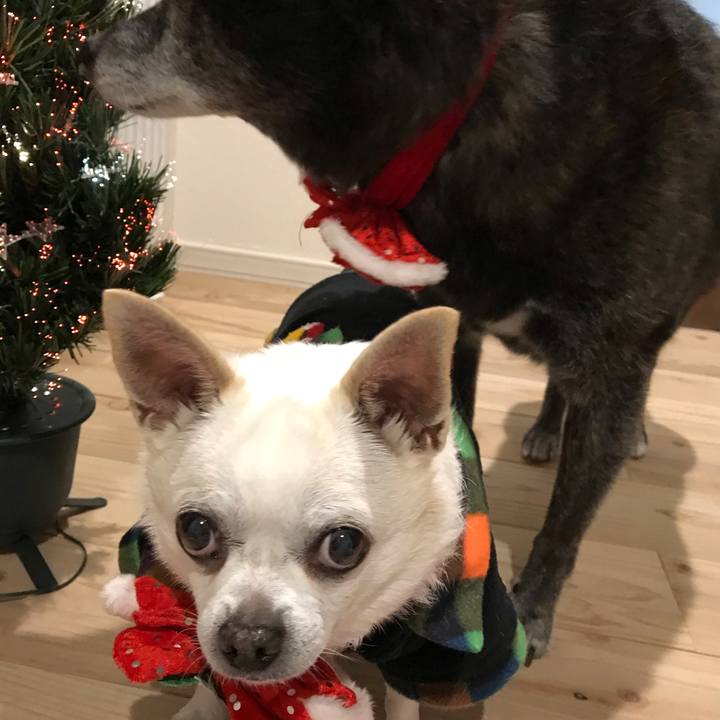 5b90369f ef68 497b aa93 148c905d6cd8 1608890551864