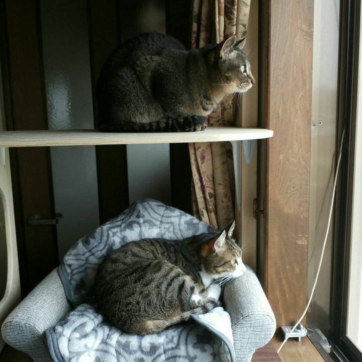 5b904669 20a9 4bd5 b826 bf9cd759bb75 1529802148193