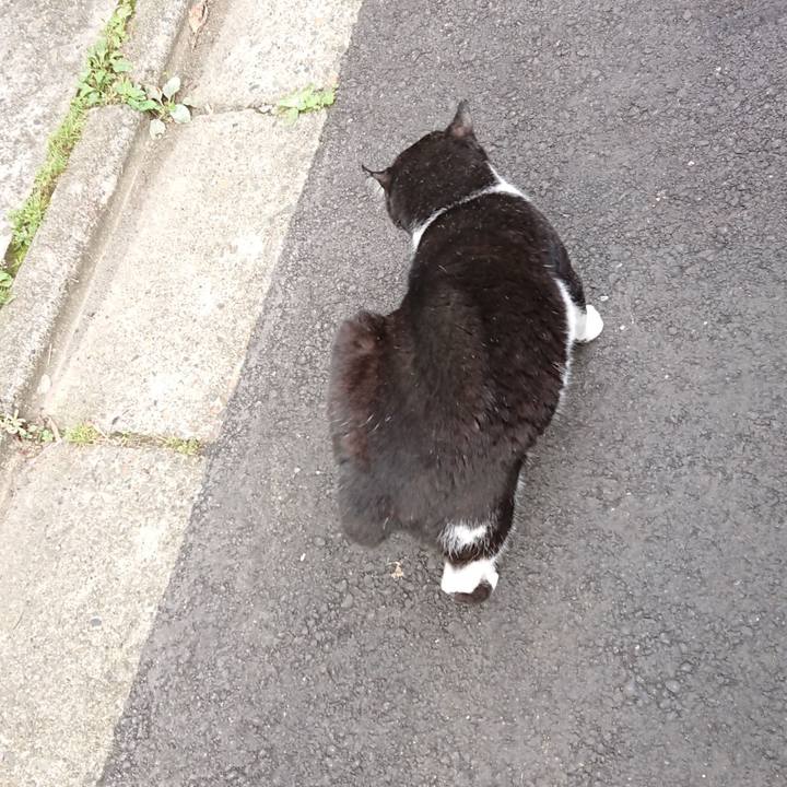 5b905348 7208 44f5 b91a d10e437d7b02 1624256968443