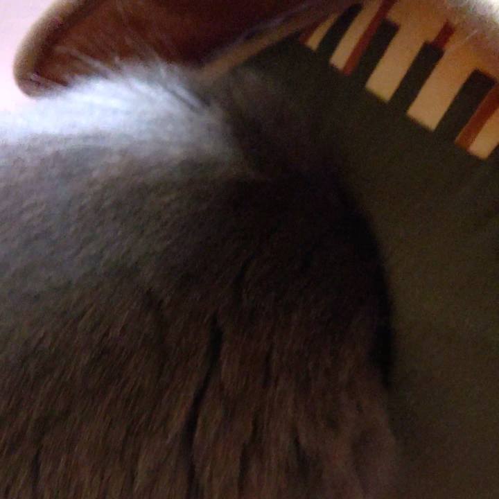 5b90569f 1118 41c6 88a7 d6245dbc7858 1610867363471