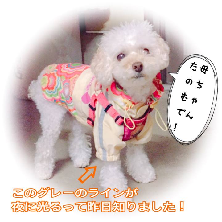 5b9085f2 1014 45d1 afe2 1162706494f9 1507851220784