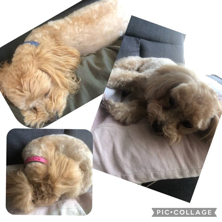 5b9093a4 9886 45ed bb48 e57258bb9ab3 1621745621567