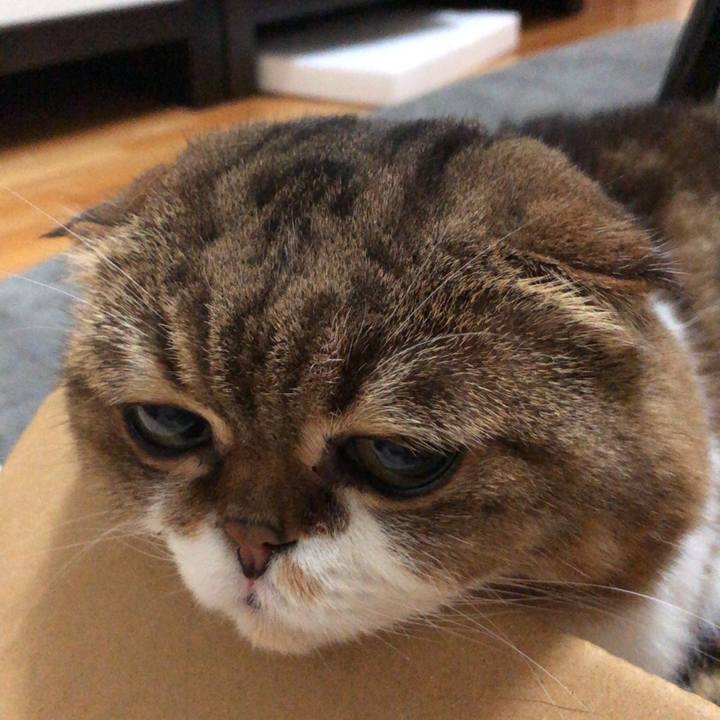 5b910ba5 336c 4c6f af30 2ff12ab8f596 1538837145813