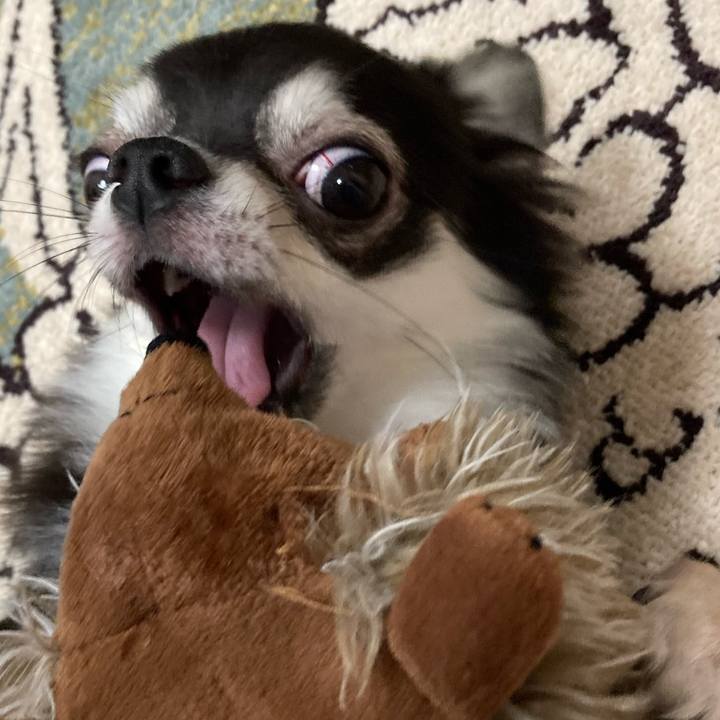 5b910f8f 7287 4303 9316 12deb5ddf3ce 1629122428325