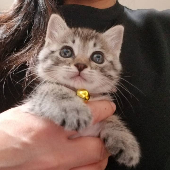 5b918f32 21a6 4549 8a94 7d7e9d6f9f96 1661352657345