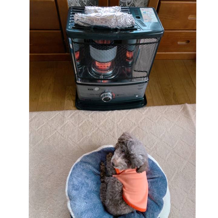 5b919b77 a6f2 462f 80fb f14f36f84ac7 1619915983864