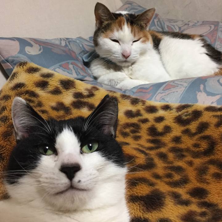 5b91a60f 72dc 44b7 b19e a86c86f2d87b 1580972827048