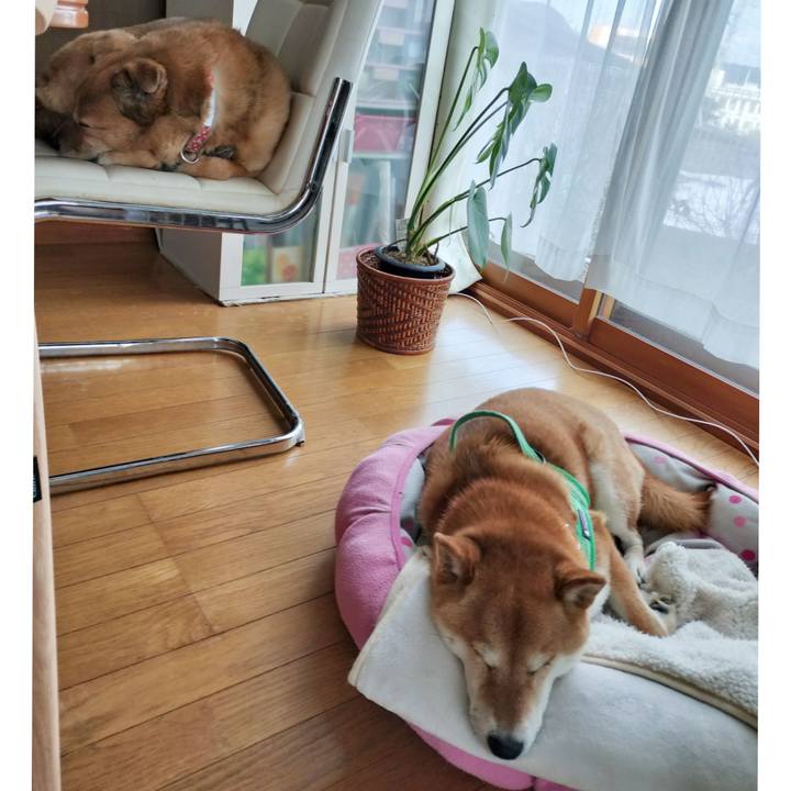 5b91b511 098f 4a1c ba2d a3777ec066ab 1740915396619