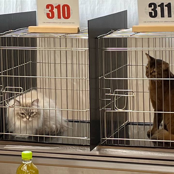 5b91e1d6 ebf7 41e6 8bb3 57487cde31f1 1707708255090