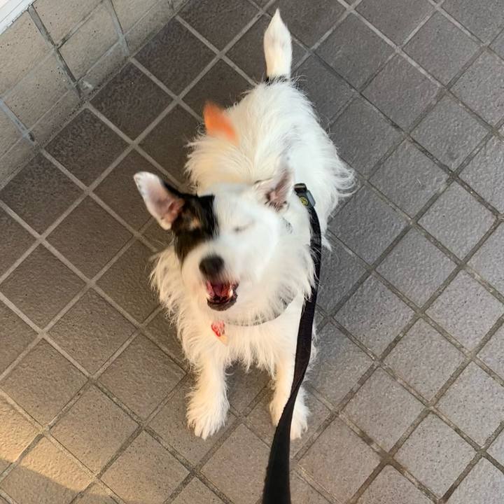 5b91f770 e294 406b 9a44 b8652d5b0641 1695543834266