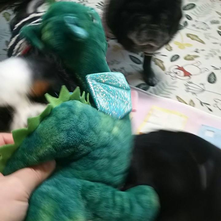 5b92642b 83ee 4e7b b9d2 8b7c39b99a66 1541602339079