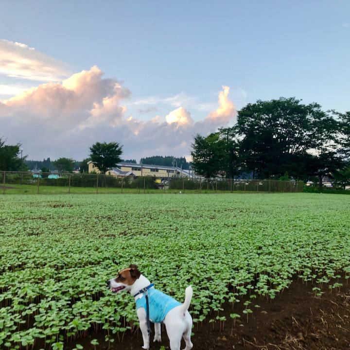 5b929b37 da1d 425a a352 18cc44e6e137 1597317441637