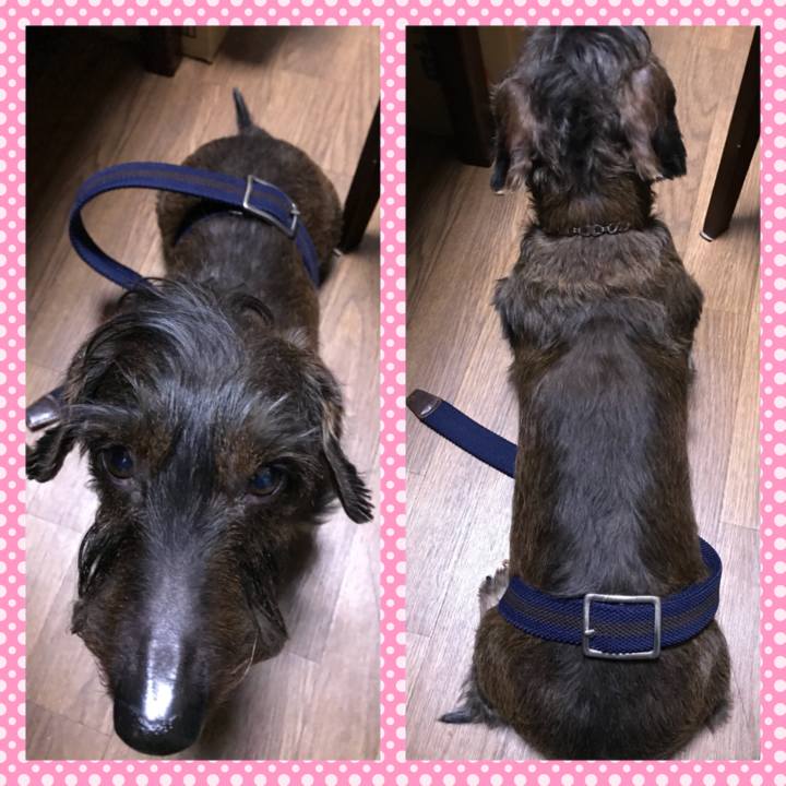 5b92d7d2 9eab 4ac7 a1a4 0f63f0b54da5 1518514125093